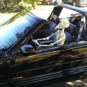 Meet your Posher, Bob